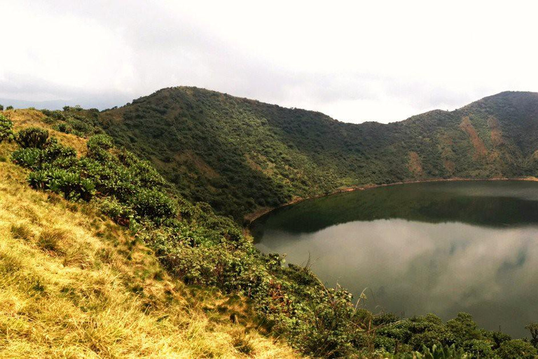 From Kigali: Bisoke Summit Trek, Crater Lake 1 Day Safari