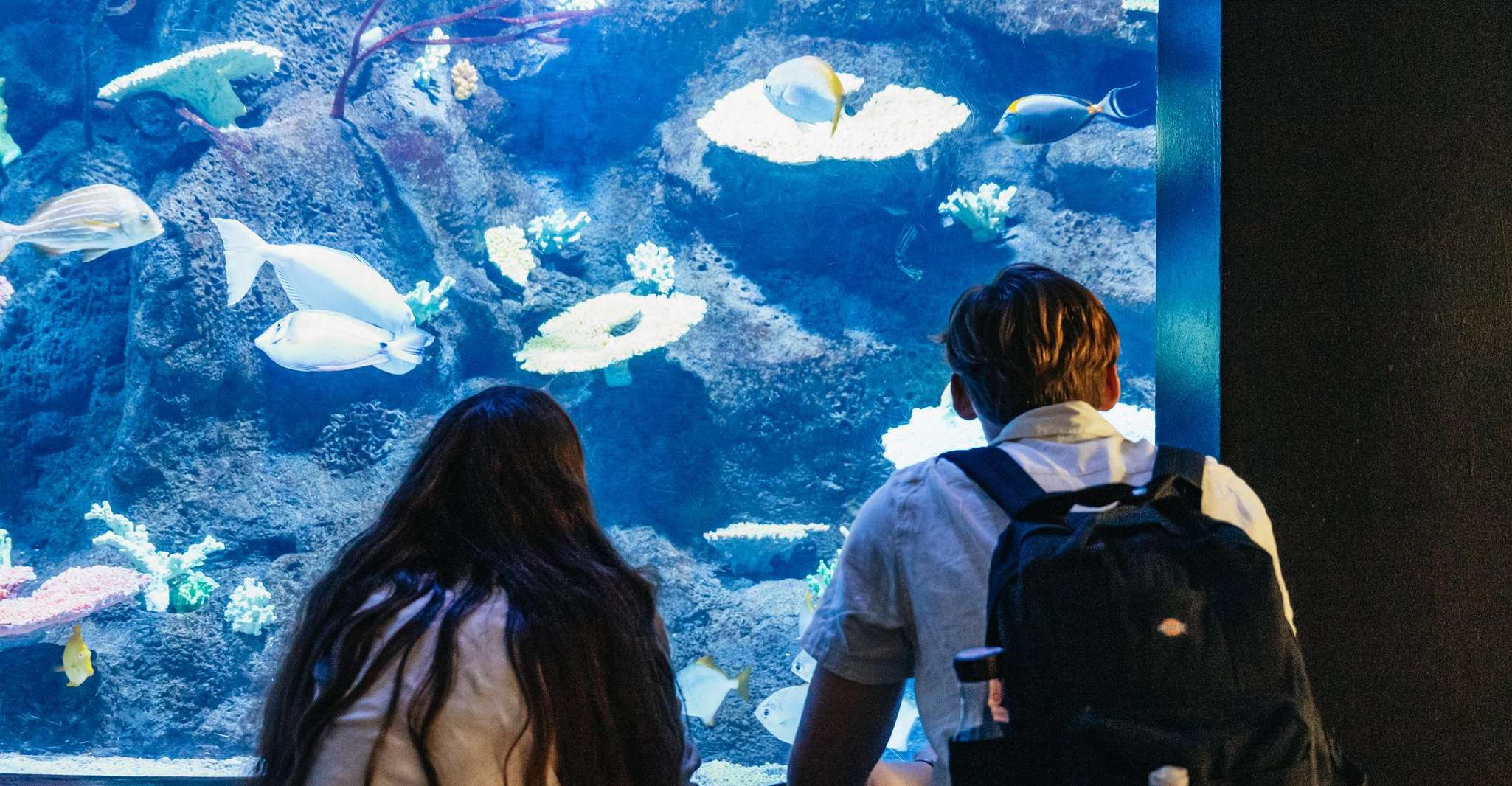 Copenhague, Tivoli Gardens Billet d'entrée - Hizvo