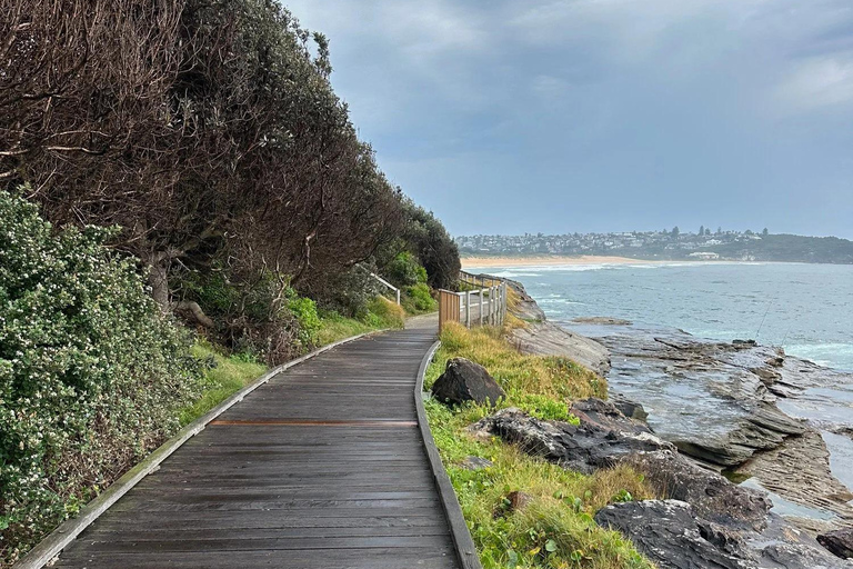 Sydney: Northern Beaches Walk with Lunch at Felons Manly