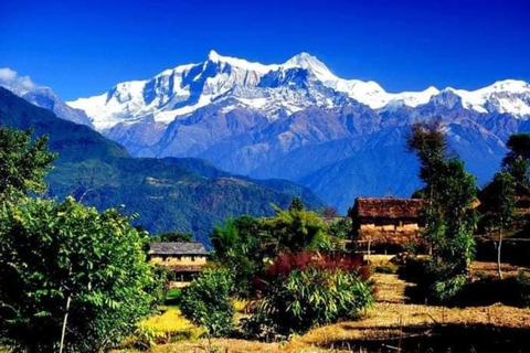 Pokhara : Trek de 3 jours à Astam, Dhampus et Australian CampPokhara : 3 jours de service