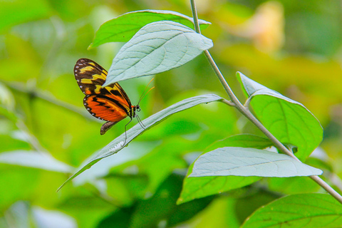 San Pedro Sula: Azul Meámbar National Park Day Trip