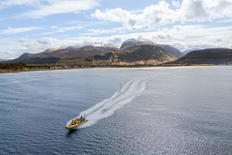 Fort William: 1hr Loch Safari Speedboat Tour