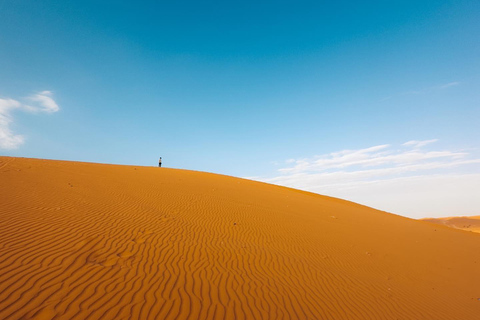 Riyadh:Red Sand Dunes camel ride&Quad&Sandboarding Adventure Private Tour with pick up and drop off from your location