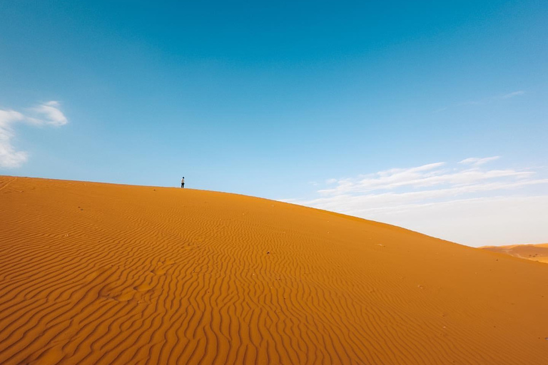 Riyadh:Red Sand Dunes camel ride&Quad&Sandboarding Adventure Private Tour with pick up and drop off from your location