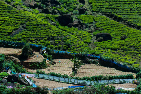 Sri Lanka: 6-Day Photography Tour with Hotel & Guide