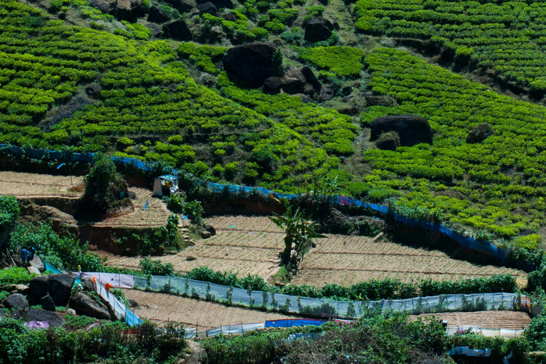 Sri Lanka: 6-Day Photography Tour with Hotel & Guide