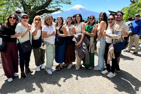 Economical Tokyo Tour by Trains with KIMONO Experience