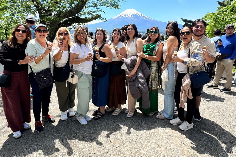Economical Tokyo Tour by Trains with KIMONO Experience