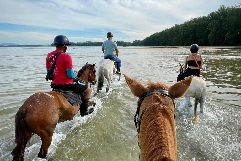 Phuket Beach Horseback AdventureHorse Riding 4:00 PM