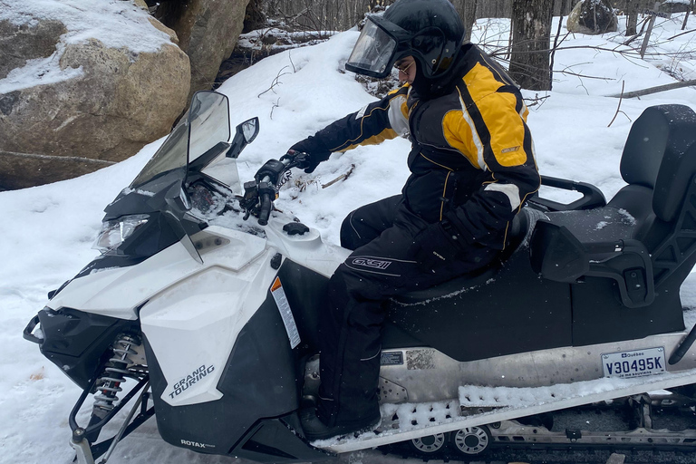 Explore the depths of the Canadian forest in Snowmobile