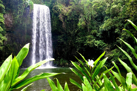 Port Douglas: Waterfall Tour with Lunch