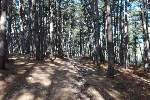 Wycieczka prywatna Vrmac Hiking