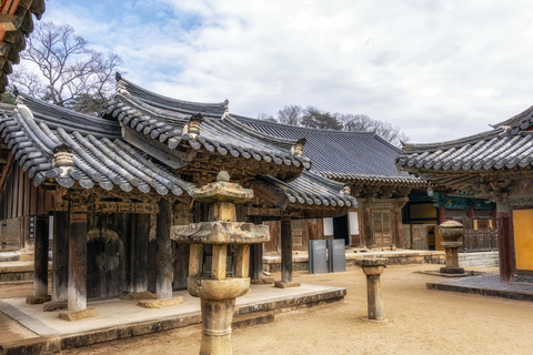 Busan: Discovery Tour With Snow &amp; UNESCO Spot