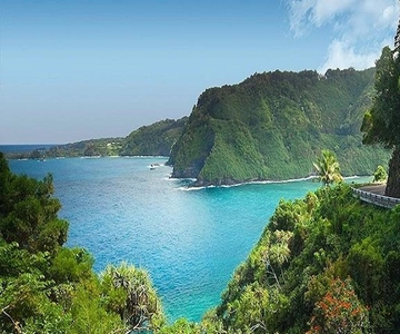 From Maui: Road to Hana Rainforest and Waterfall Experience