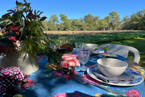 In Gironde: Yoga, walk, and brunch in nature—for all levels In Gironde: Yoga day, nature walk & brunch - for all levels