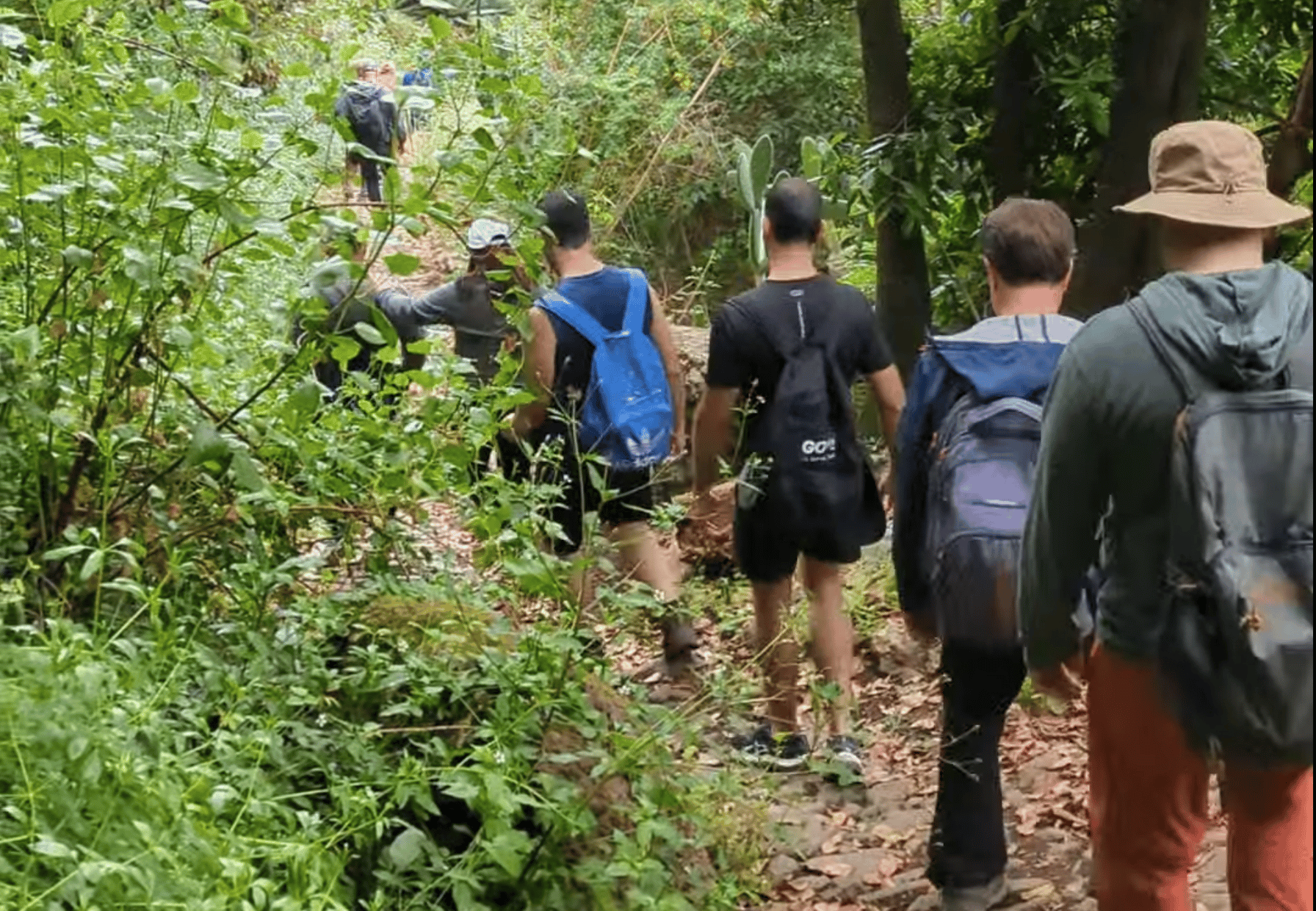 Trekking und Wiederaufforstung: Firgas GC