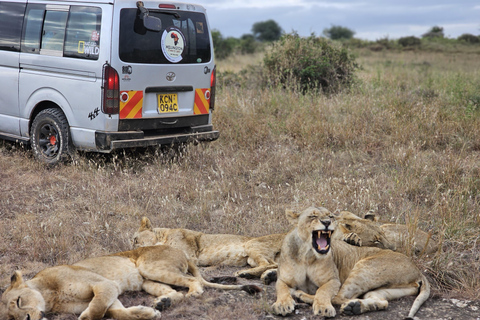 Nairobi Park Safari, Sheldrick's Orphanage & Giraffe Center Shared Drive in Open-Roof Van Game Drive