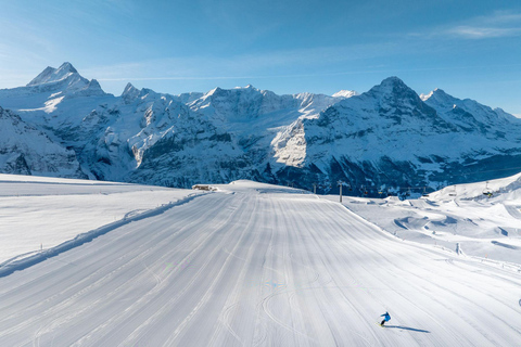 Desde Zúrich: Grindelwald Primer Teleférico e Interlaken