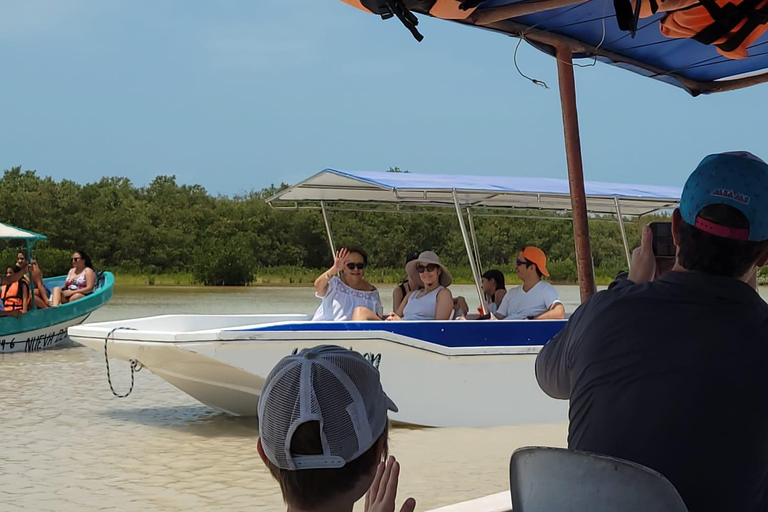 From Merida: Sightseeing tour to Celestún, Flamenco Route, Mangroves, and Estuary From Merida: Tour to Celestun, Flamenco Route, Mangroves, and Estuary