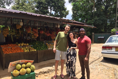 Kandy: All-day Ambuluwawa and Kandy City Tour by Tuk-Tuk