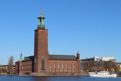 Stockholm VIP half day city tour by incl. Vasa Ship Museum