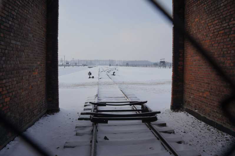 red guided tour auschwitz