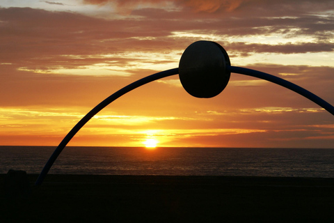 Napier: Highlights & Tour Exploring the Best of this Region