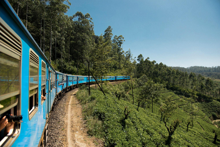 Ambewela to Ella: Scenic Train Ride for Photography Lovers Ambewela to Ella: Scenic Train Ride in 3rd Class cabin