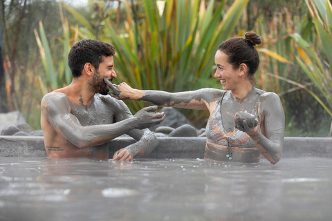 From Rotorua: HELL&#039;s GATE Geothermal MUD BATH Half Day Tour