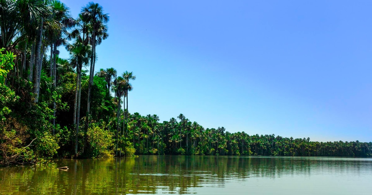 Tambopata Safari Animals 3D/2N | GetYourGuide