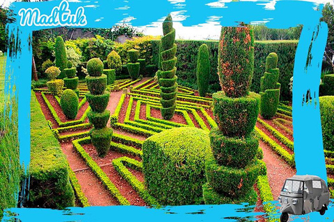 Madeira: Botanical Gardens + Old Town Tuk-Tuk Tour by MadTuk