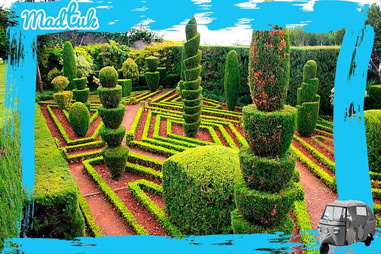 Madeira: Botanical Gardens + Old Town Tuk-Tuk Tour by MadTuk