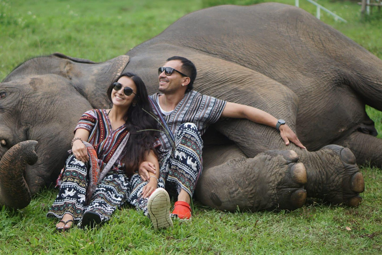 Chiang Mai: Ethical Elephant Experience - Transfer Options A : Meeting Point Feeding, Walk with Elephants (No Transfer)