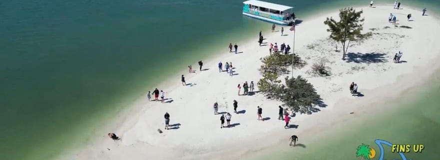 Clearwater Beach : Croisière pour les dauphins et les îles Sandbar