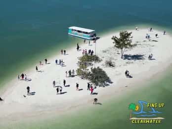 Clearwater Beach: Dolphin & Island Sandbar Cruise