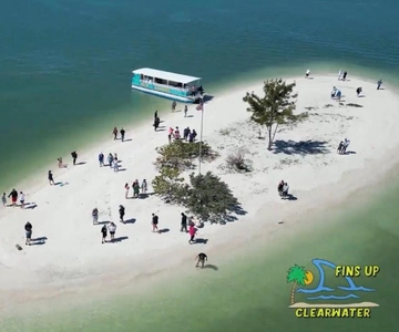 Clearwater Beach: Cruzeiro com golfinhos e bancos de areia da ilha