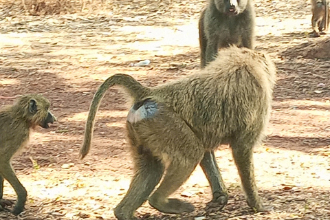 Accra Safari &amp; Boat Cruise - całodniowa wycieczka prywatna