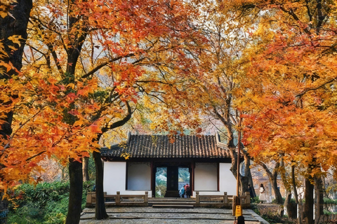 Autumn Hike: Explore Suzhou's Maple Trails from Shanghai