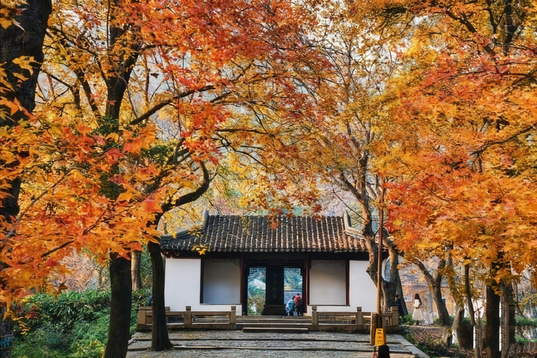 Autumn Hike: Explore Suzhou's Maple Trails from Shanghai