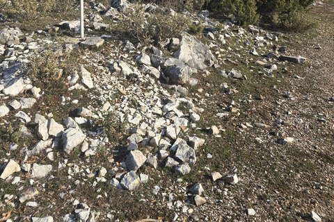 Hike Mount Shpirag and Enjoy Stunning Berat Views