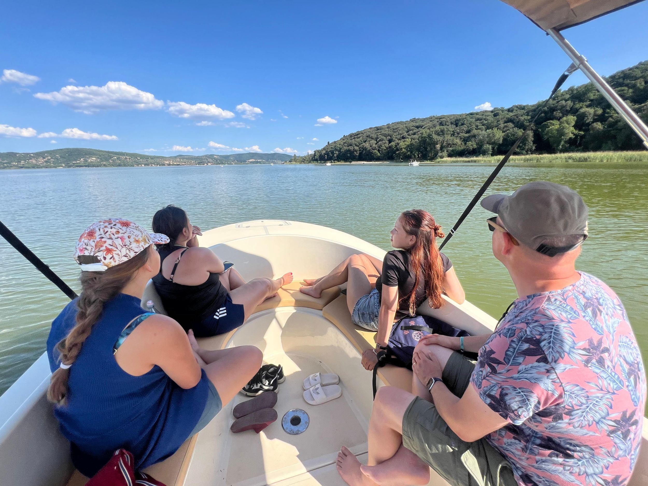 Green Lake Tour: Isola Polvese mit dem Elektroboot