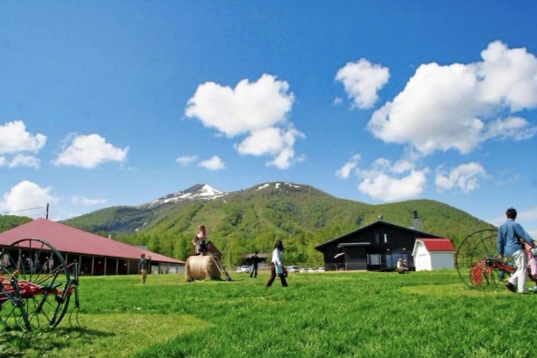 Sapporo: Jozankei Natsu-touro 8 Scenic Spots Day Tour