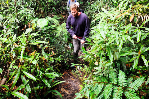 Private Guided Mossy Forest Tour & Malaysia Transfer