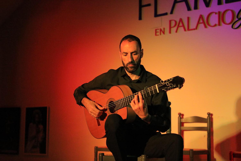 Granada: Show de flamenco tradicional de uma hora no PalacioFlamenco no Palácio Granada