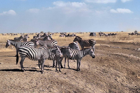 Nairóbi: passeio de carro pelo parque nacional com serviço de busca no hotel