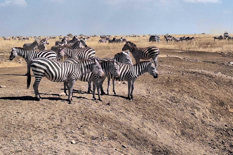 Nairobi : promenade dans le parc national avec prise en charge à l&#039;hôtel