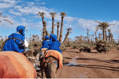 Marakesz: Palmeraie Camel Ride i tradycyjne spa marokańskie