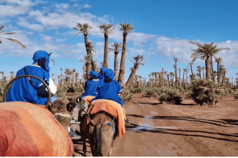 Marrakech: giro in cammello a Palmeraie e hammam