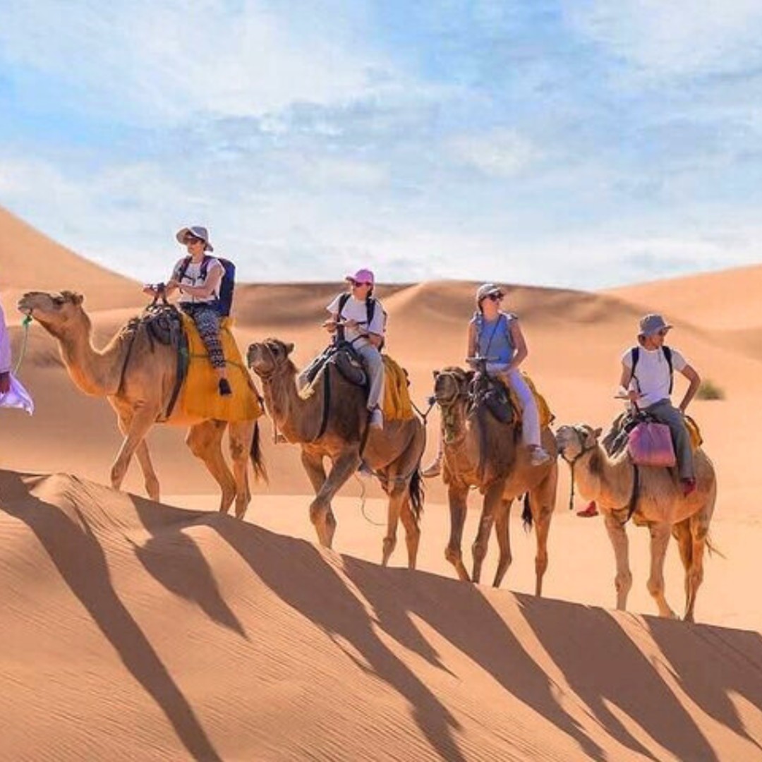 Merzouga-woestijn: 1-daags luxekamp, kameel, quad, dinershow