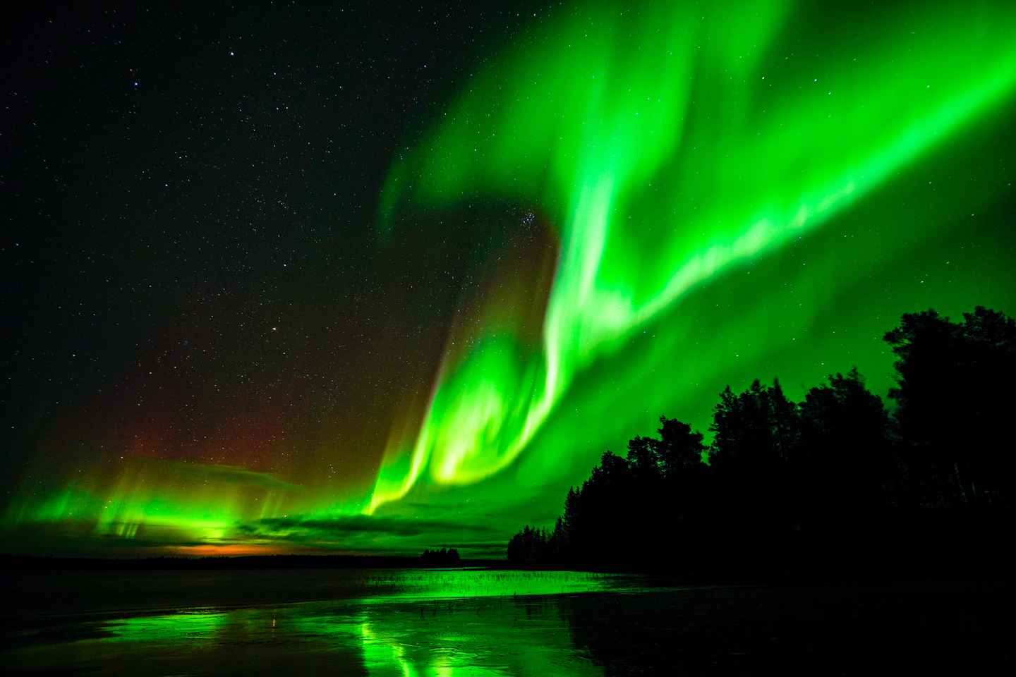 Guaranteed Northern Lights Hunting Adventure in Lapland